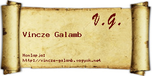 Vincze Galamb névjegykártya